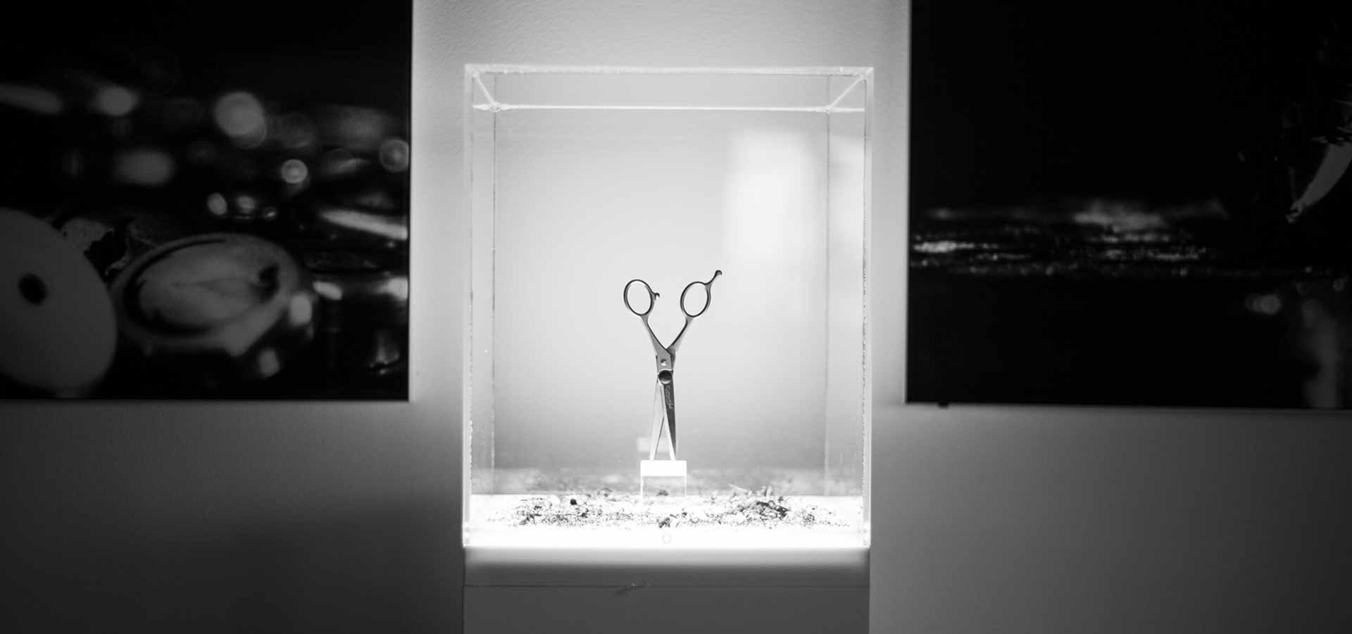 Linea premium forbici da parrucchiere Cutterfly