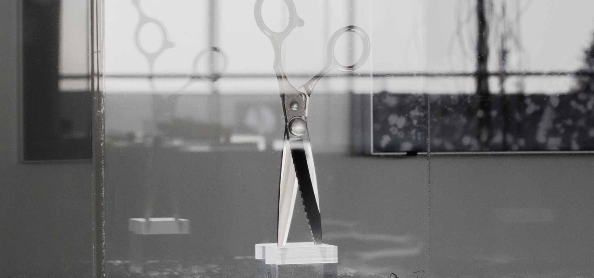 Forbici per taglio capelli professionali Cutterfly